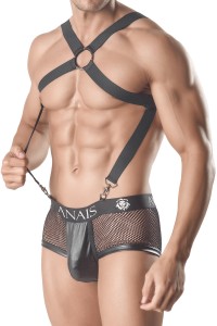 Harness Axel 1