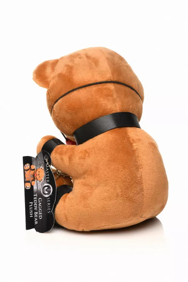 Teddy bears gagged