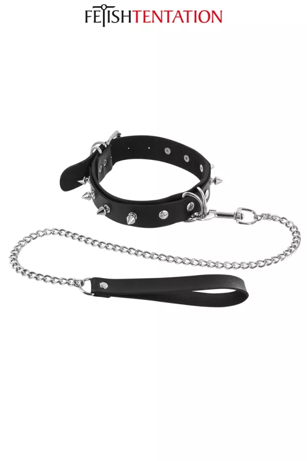 Spotted collar & leash