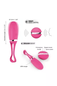 Remote controlled vibrating egg Secret Delight