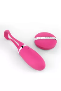 Remote controlled vibrating egg Secret Delight