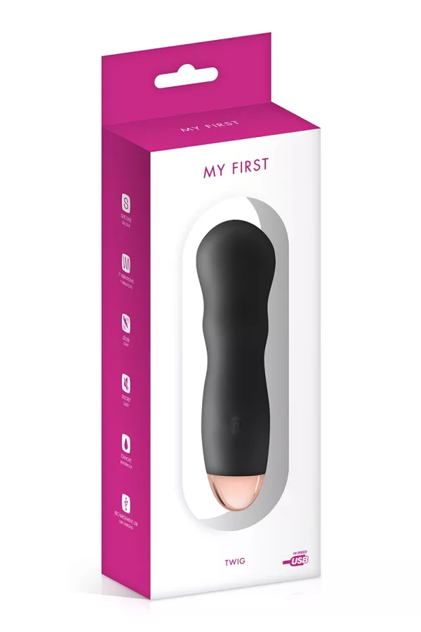 Rechargeable vibrator Twig black