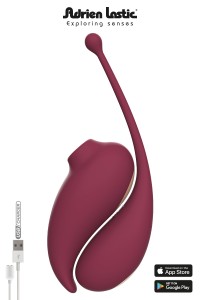 Vibrating egg and clitoral stimulator connected - Inspiration