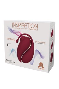 Vibrating egg and clitoral stimulator connected - Inspiration