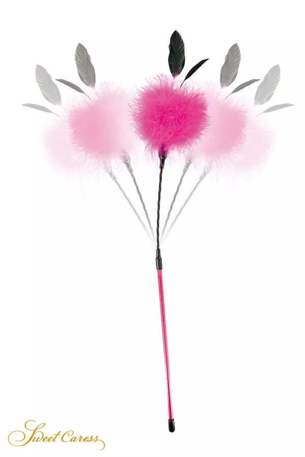 Feather with pink caresses