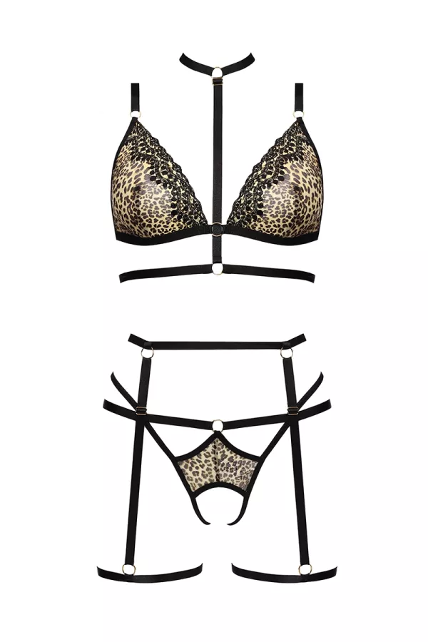 Set di armature e lingerie Cozmo