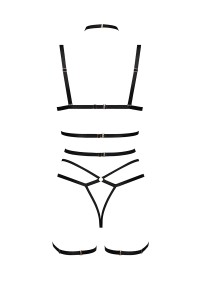 Harness and lingerie set Cozmo