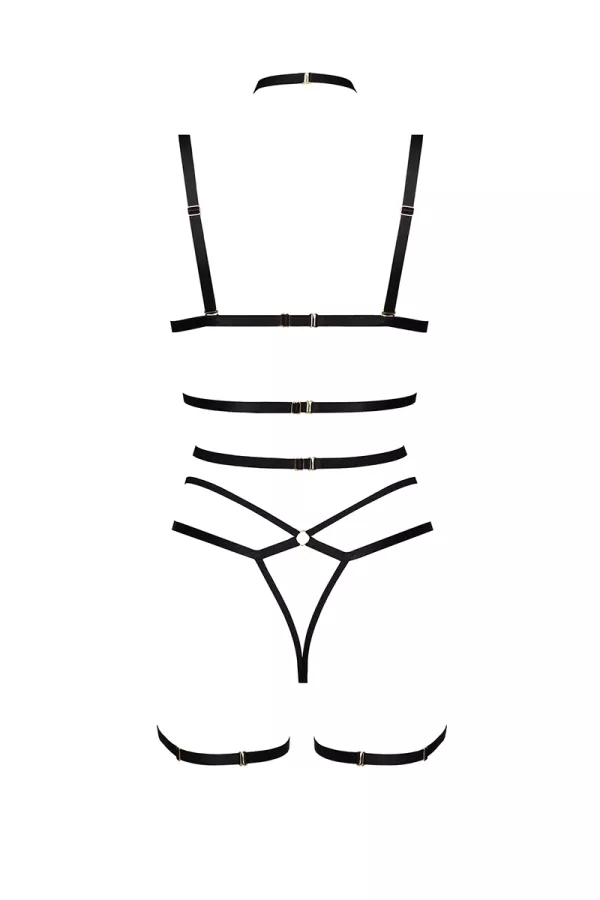 Harness and lingerie set Cozmo