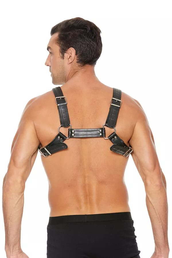 Buckle Bulldog harness black