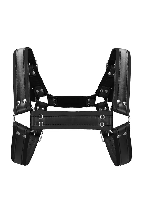 Buckle Bulldog harness black