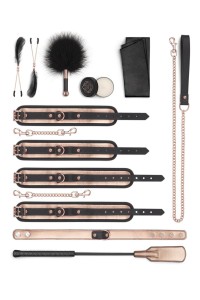 9 accessoires BDSM Rosy Gold