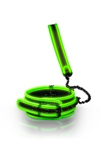 Phosphorescent Necklace and Leash