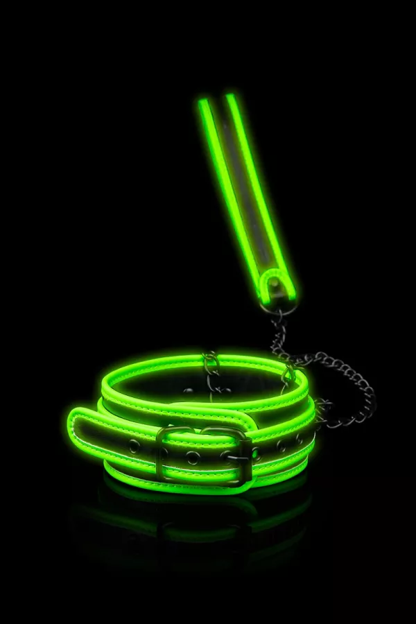 Phosphorescent Necklace and Leash