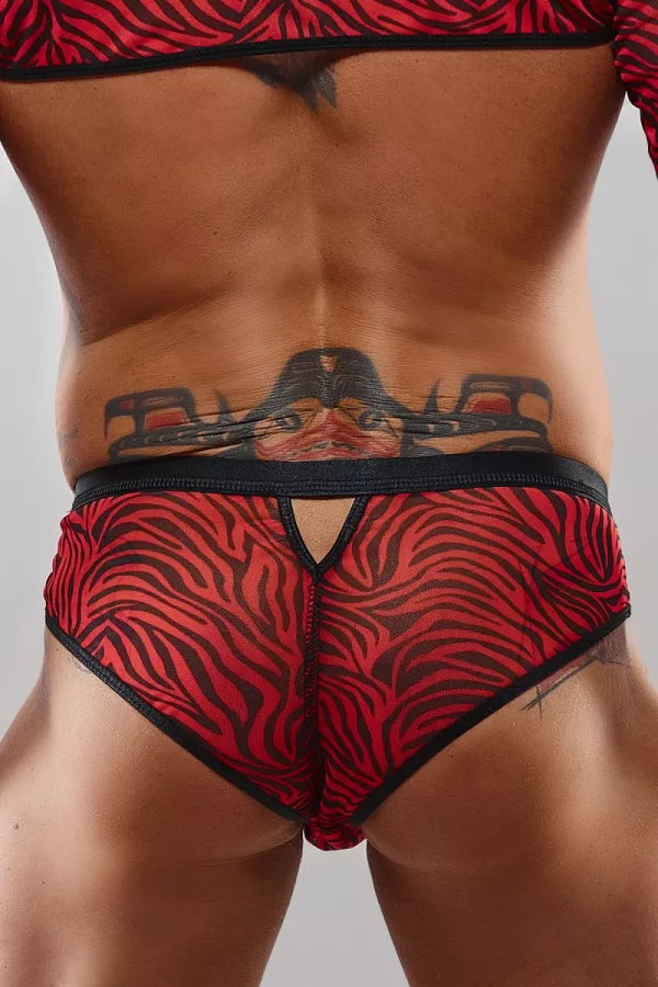 Men's underwear- Regnes Fetish Planet - Brazilian Briefs- tentations.ch- Sexshop