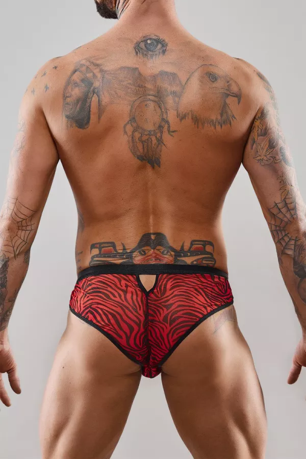 Men's underwear- Regnes Fetish Planet - Brazilian Briefs- tentations.ch- Sexshop