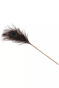 Plumeau with caresses Peacock Tickler