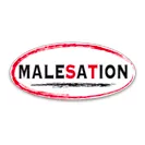 Malesation