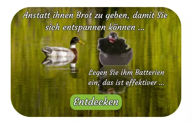 Enten